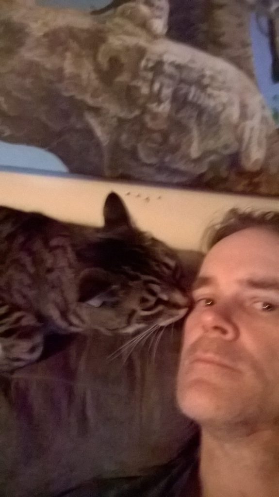 sweet kitty kisses